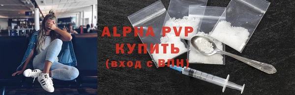 PSILOCYBIN Аркадак