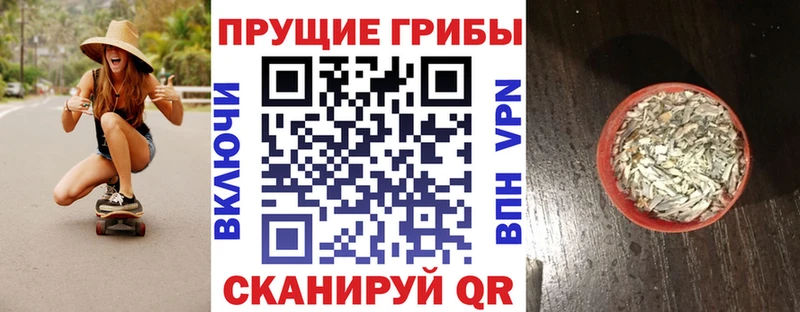 Галлюциногенные грибы GOLDEN TEACHER  где купить   ОМГ ОМГ сайт  Хадыженск 