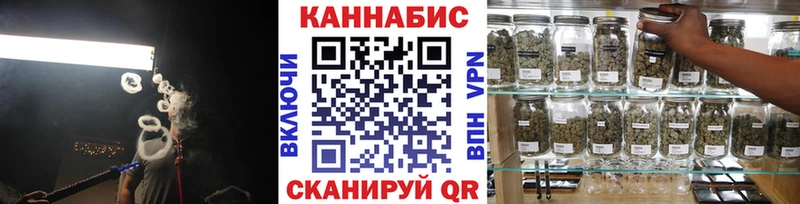 как найти   Хадыженск  Канабис гибрид 